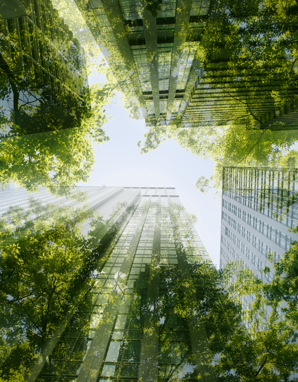 Upward image showing trees and a skyscraper skyline