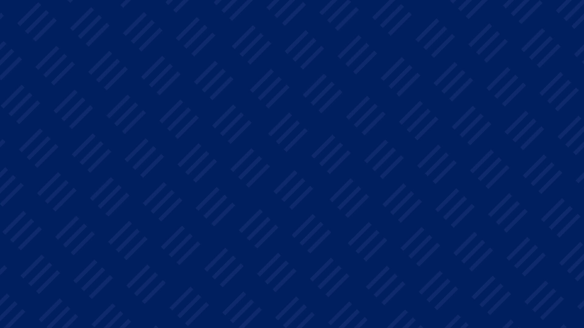 Hatch Background-Navy