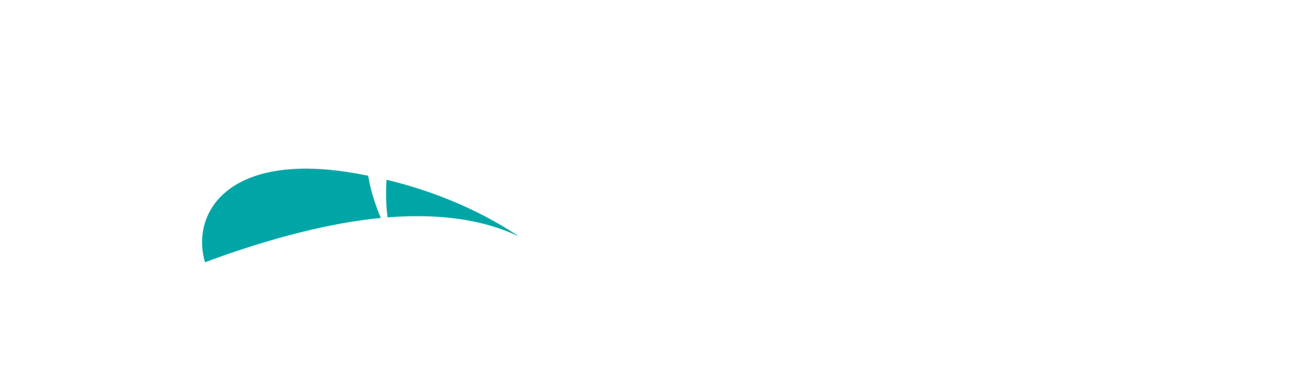 Pega logo (reverse)