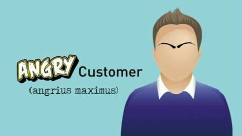 Traditional CRM: The Flock of Angry Birds
